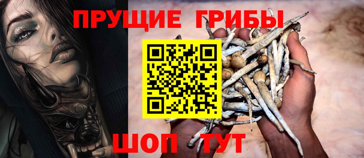 Псилоцибиновые грибы Cubensis  Вход с VPN  Анапа 