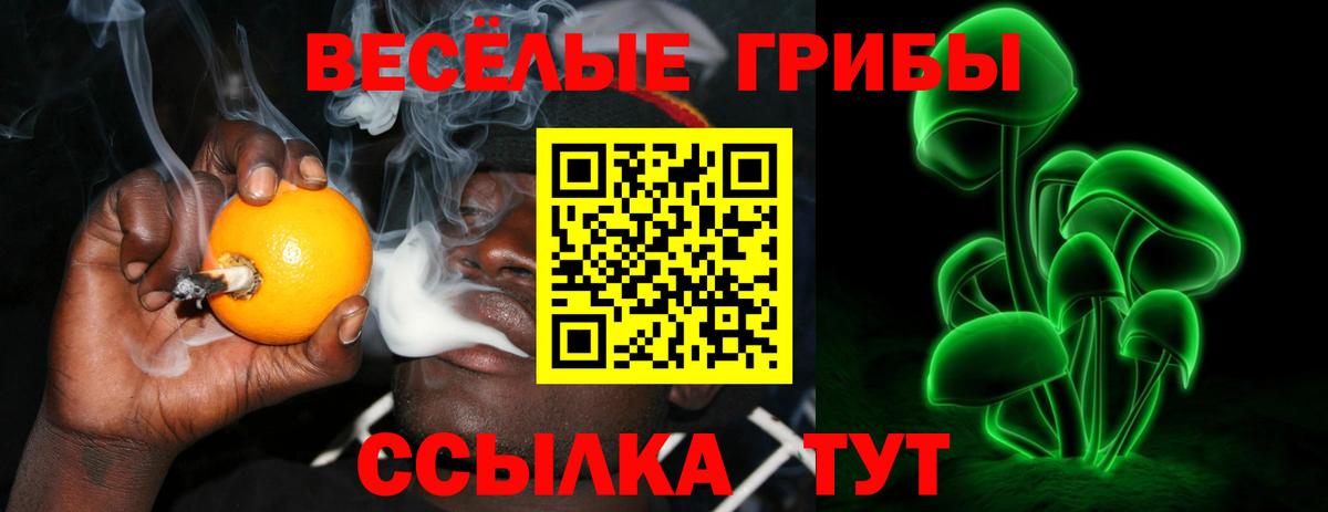 Галлюциногенные грибы Cubensis Анапа